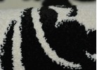 Килим Multi 2265_white
